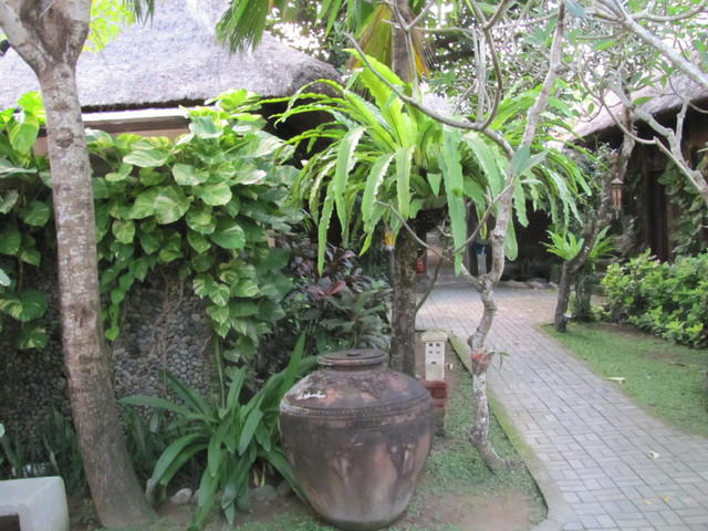 IMG 0809