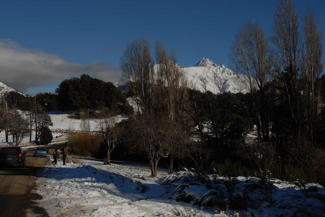 DSC0029
