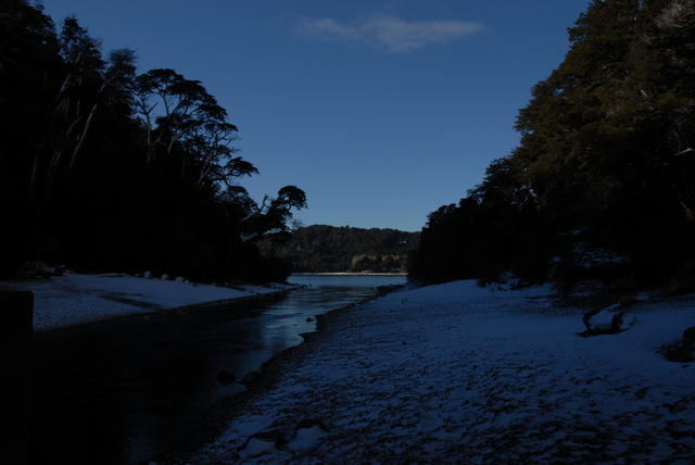 DSC005