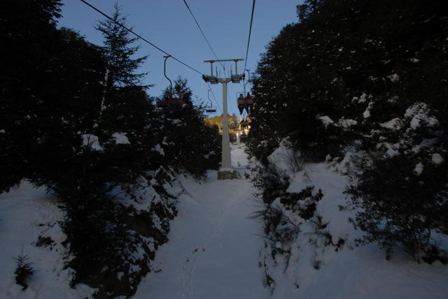 DSC 011