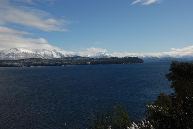 DSC 0007