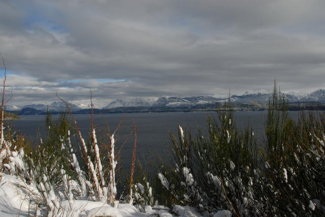 DSC 0008