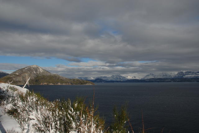DSC 0009