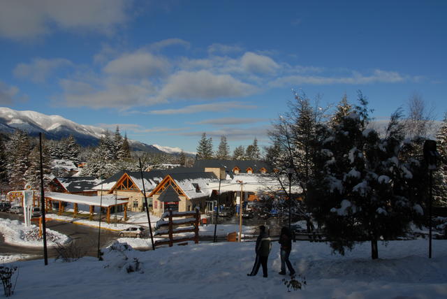 DSC 0017