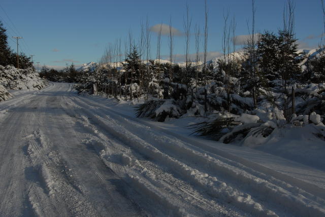 DSC 0051