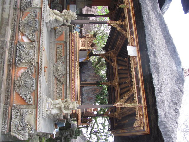 IMG 0891