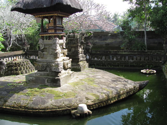 IMG 0892