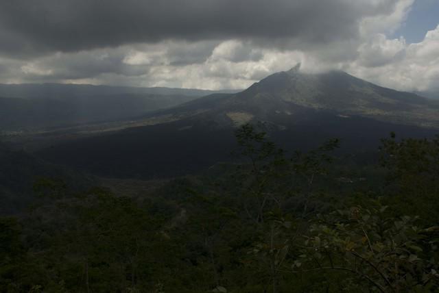  DSC1319