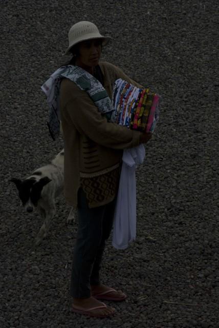  DSC1329