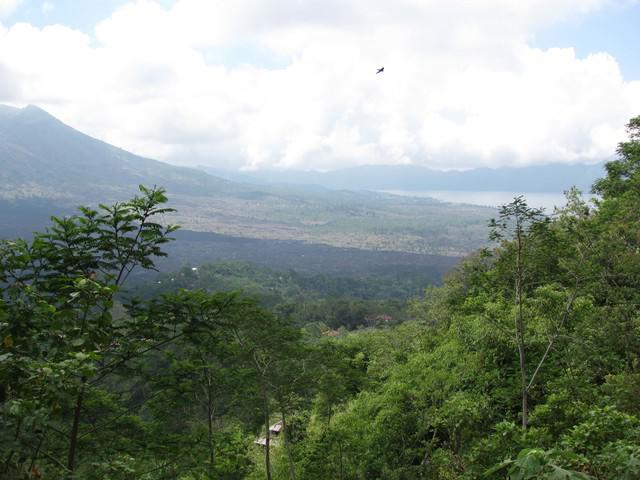 IMG 0919