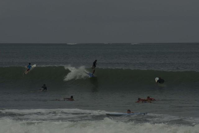  DSC1202