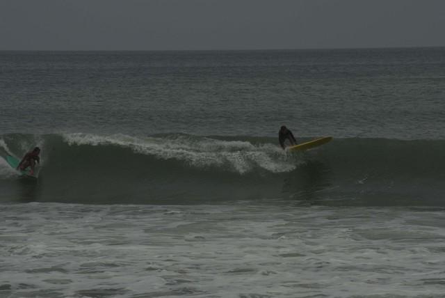  DSC1203