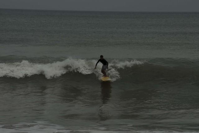  DSC1206
