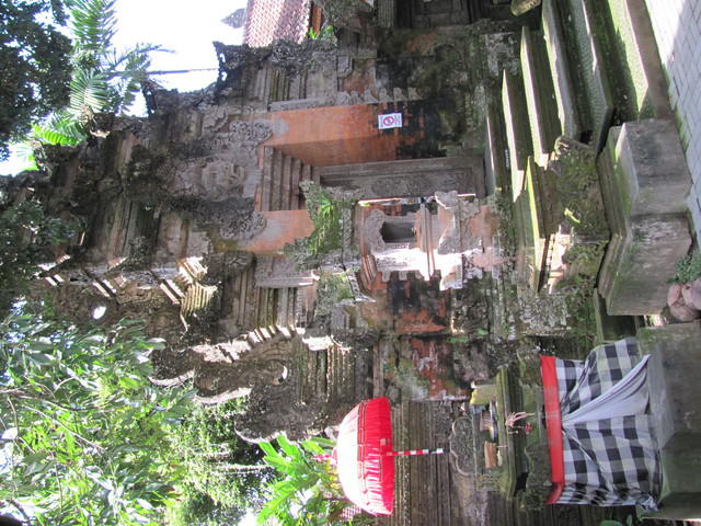 IMG 0947