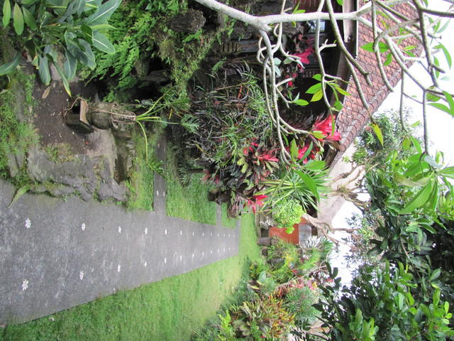 IMG 0950