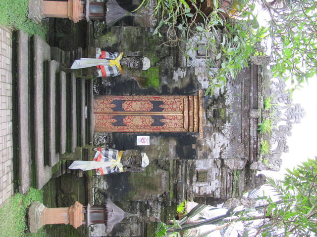 IMG 0952