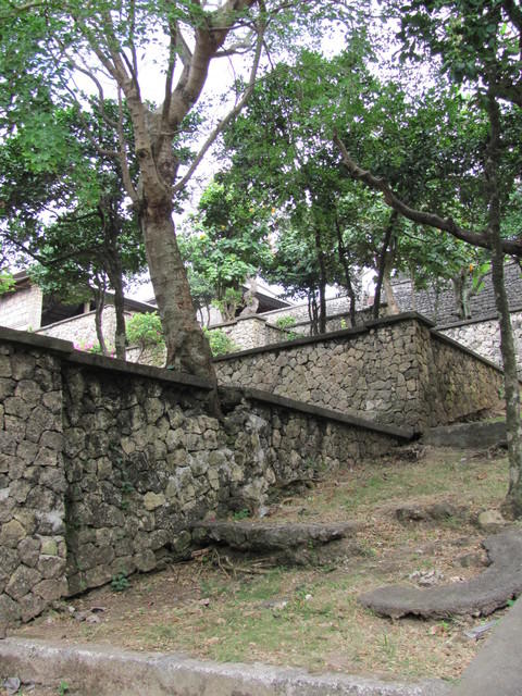 IMG 0819