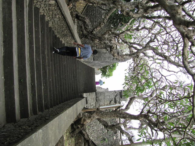 IMG 0820