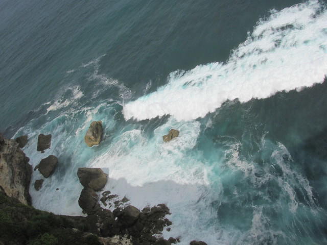 IMG 0833
