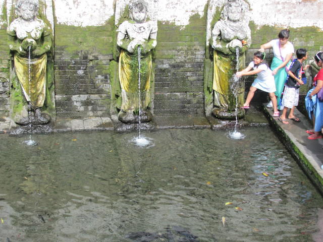 IMG 0926