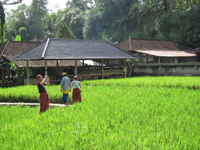 IMG 0932