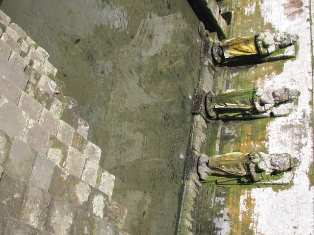 IMG 0934