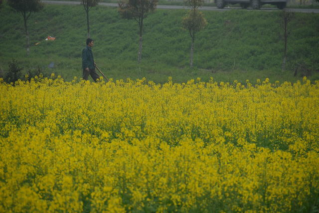 DSC 0002
