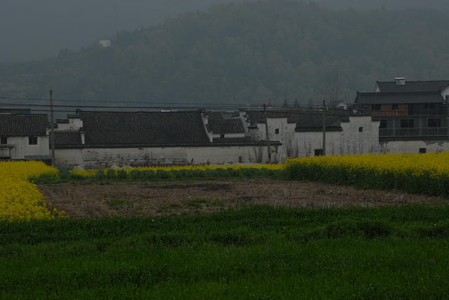 DSC 0019