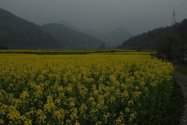 DSC 0021
