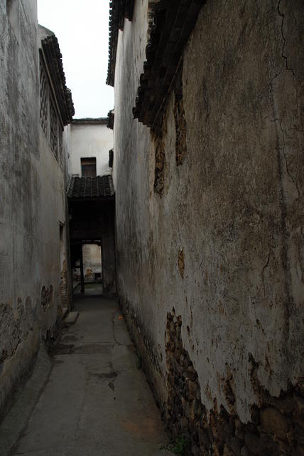 DSC 0042