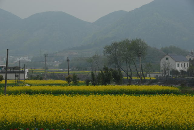 DSC 0045