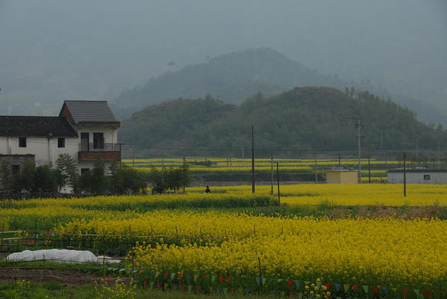 DSC 0046