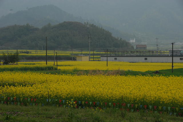 DSC 0048