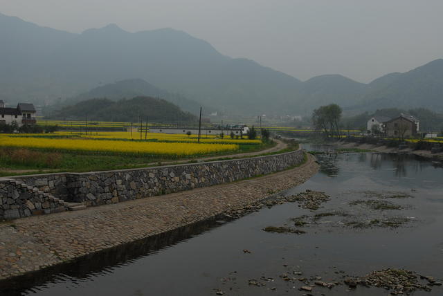 DSC 0049