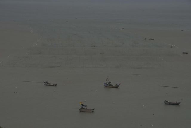  DSC1351