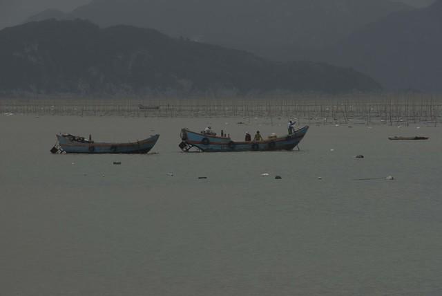  DSC1356