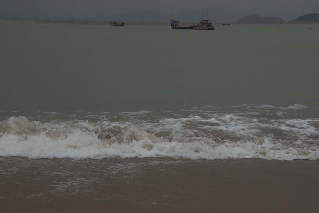  DSC1359
