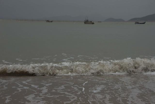  DSC1360