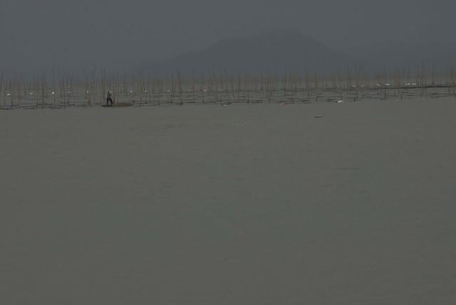  DSC1361