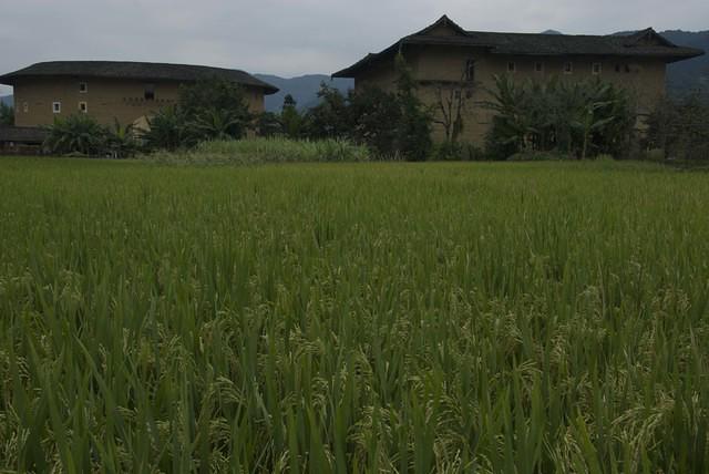  DSC1414