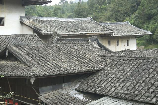  DSC1534
