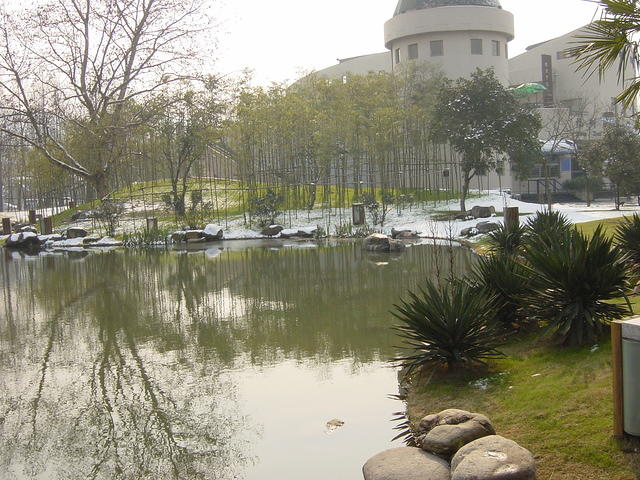 DSC00532