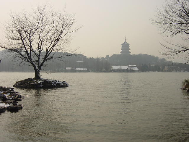 DSC00533