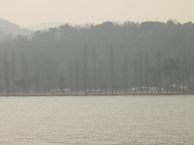 DSC00539