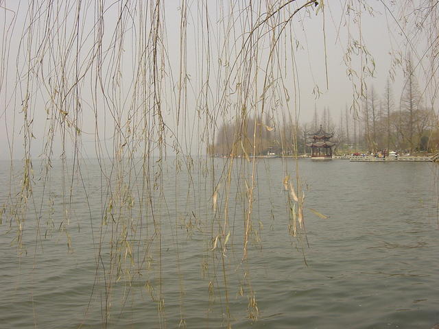 DSC00540