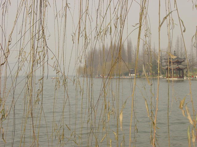 DSC00541
