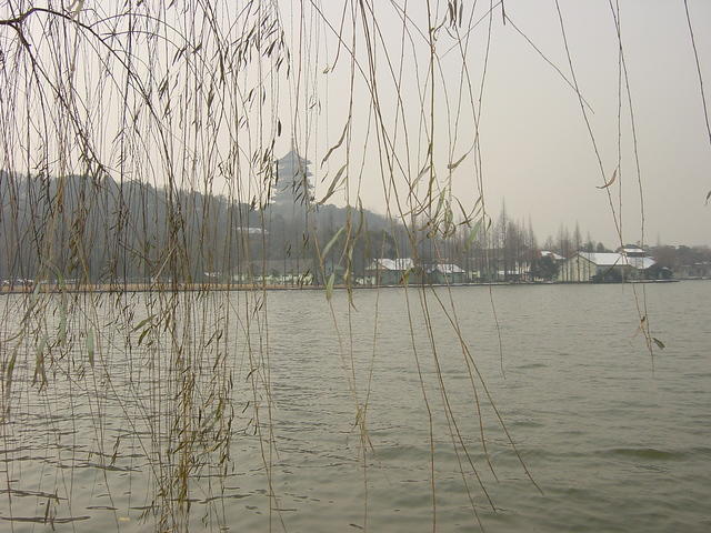 DSC00542