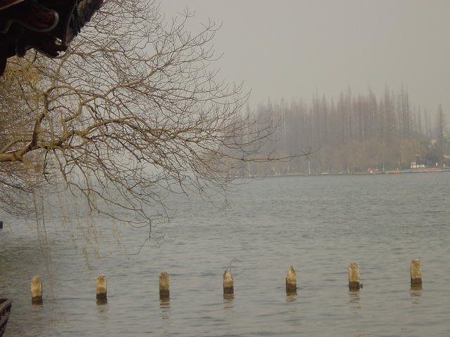 DSC00545