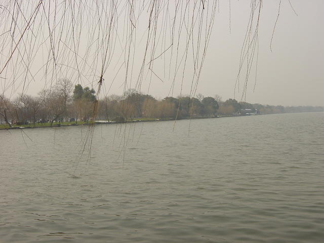 DSC00546
