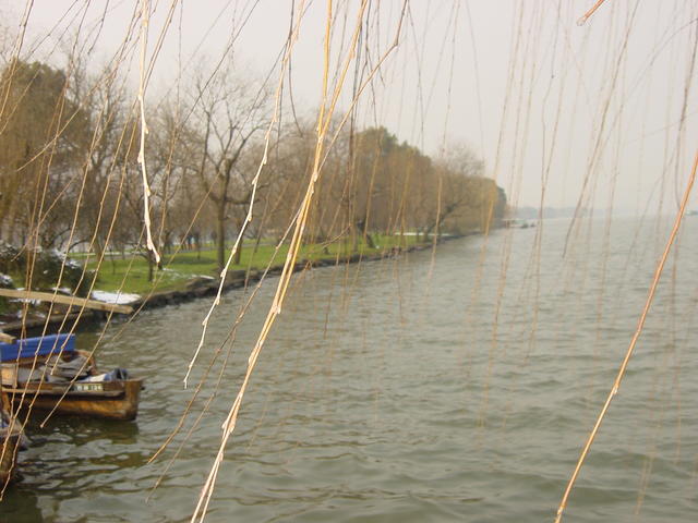 DSC00547
